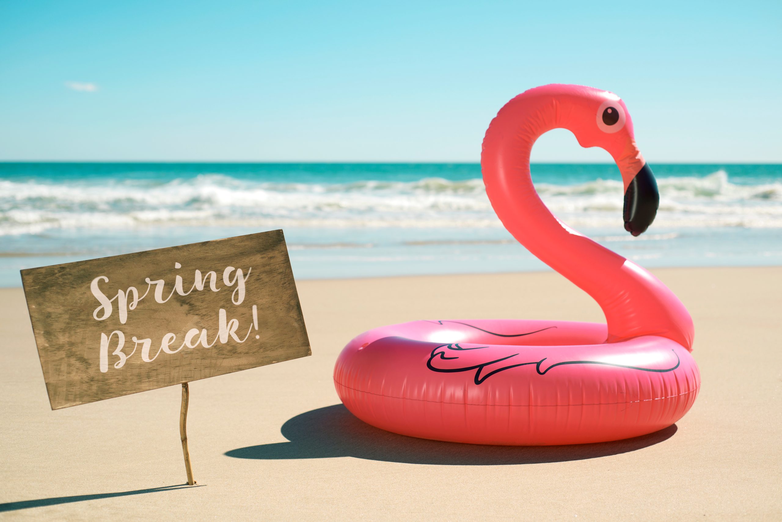 Featured image for “<font color="#282828";>Get Peace of Mind for Spring Break with These Tips from Your WA Group Insurance Agent</font>”