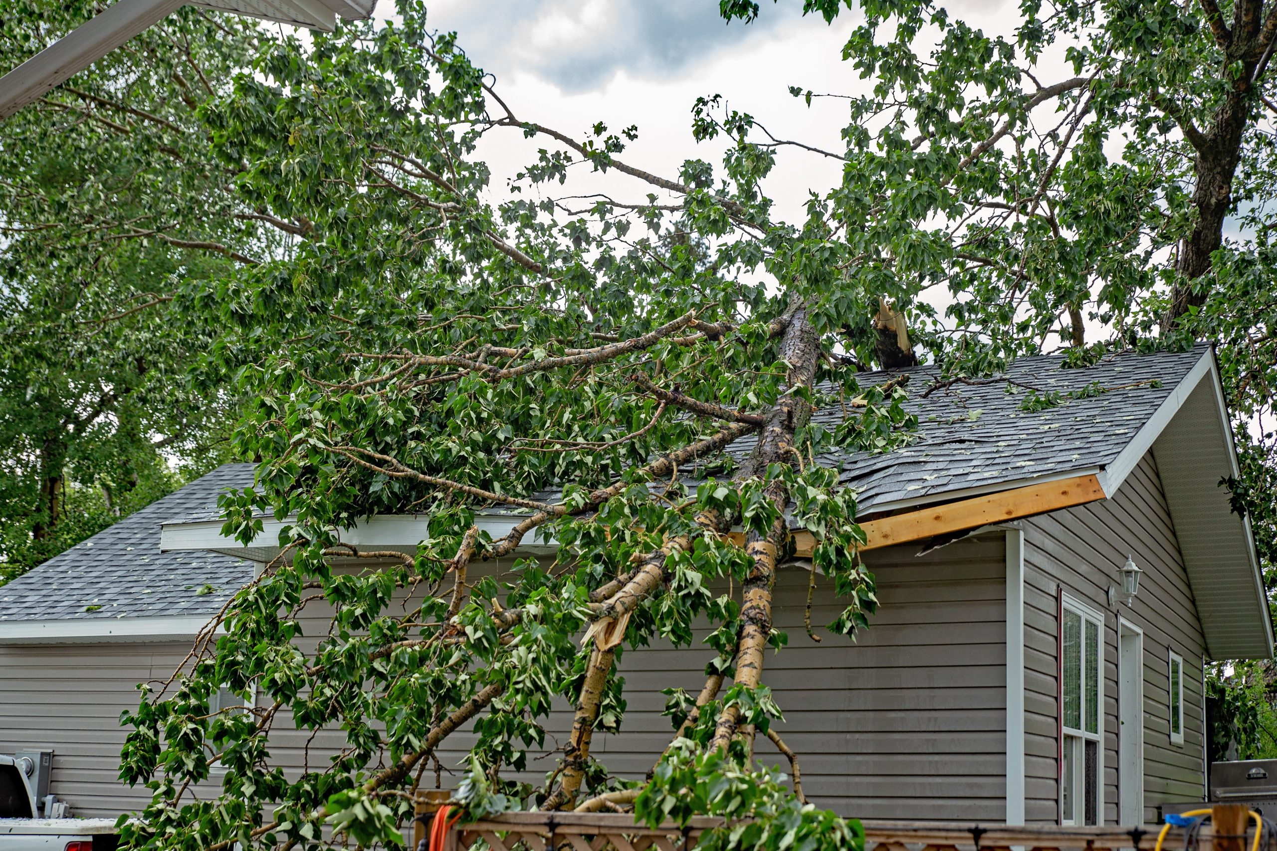 Featured image for “<font color="#282828";>Understanding insurance coverage for roof damage</font>”