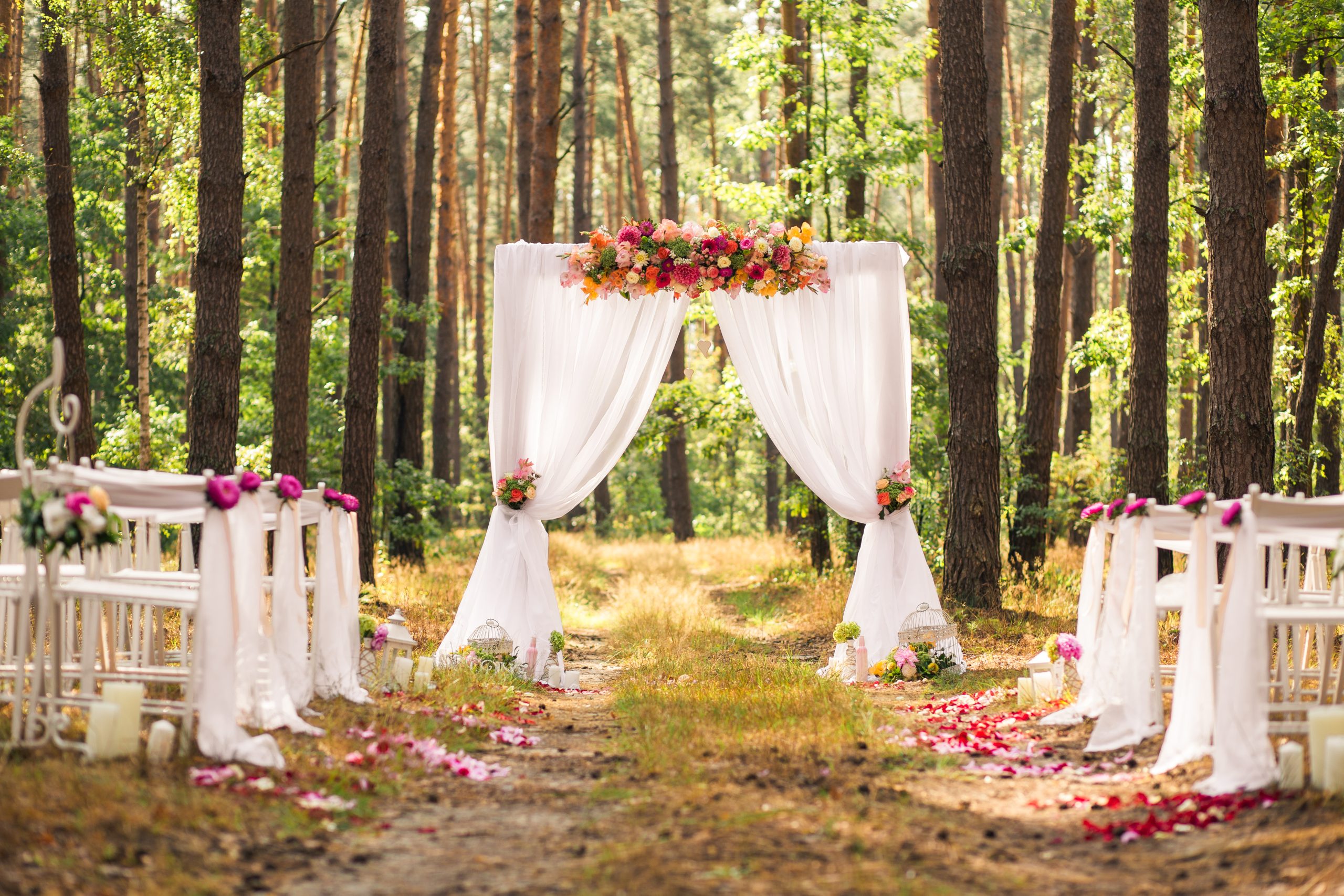 Featured image for “<font color="#282828";>Special Events Insurance</font>”