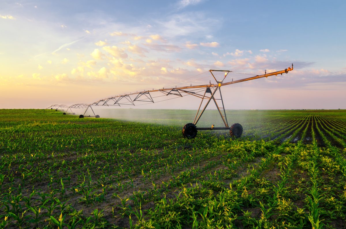How Extreme Weather Trends Are Impacting Agribusiness