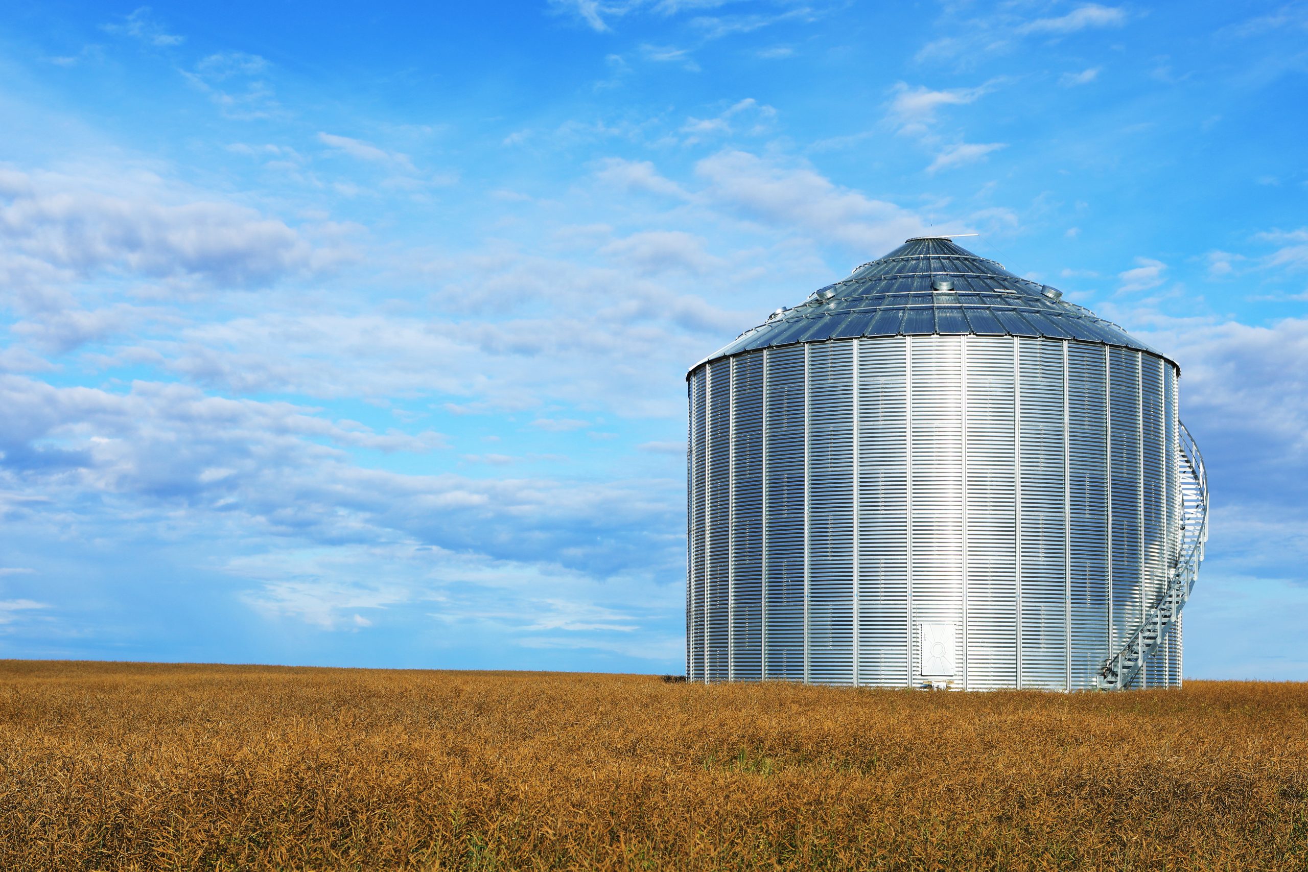 Featured image for “<font color="#282828";>Grain Storage & Spoilage Coverage Explained: What Farmers Need to Know</font>”