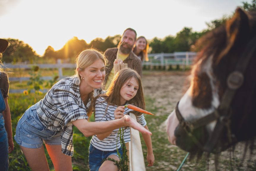 Agri-Tourism Liability: Are You Covered for Farm Visits and Events?
